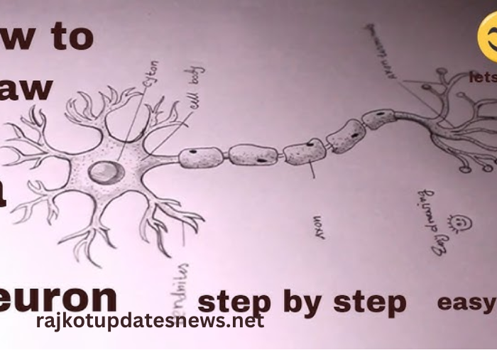 simple7gs7_oxii_a= Neuron Diagram